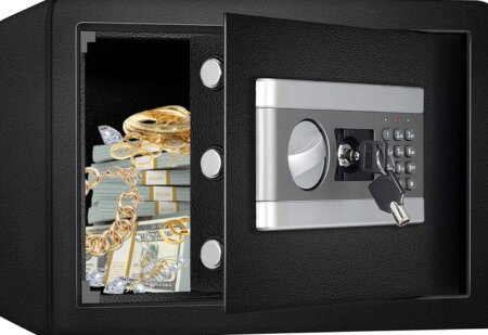 fireproof safes financial documents